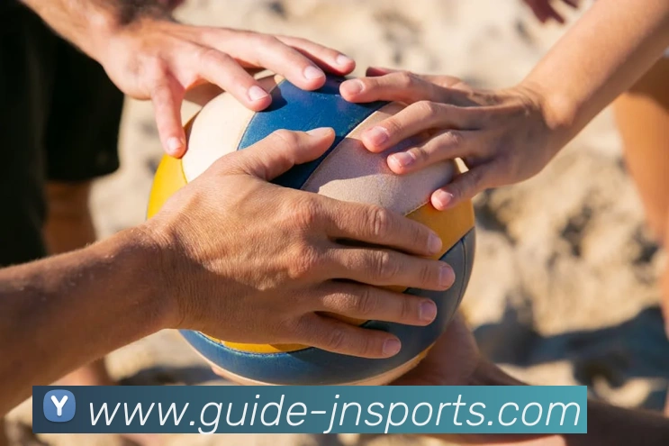 江南体育平台生态图